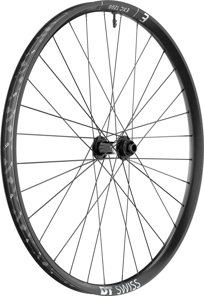 Load image into Gallery viewer, Dt swiss exc 1200 classic 30 29 carbon cl boost front wheel
