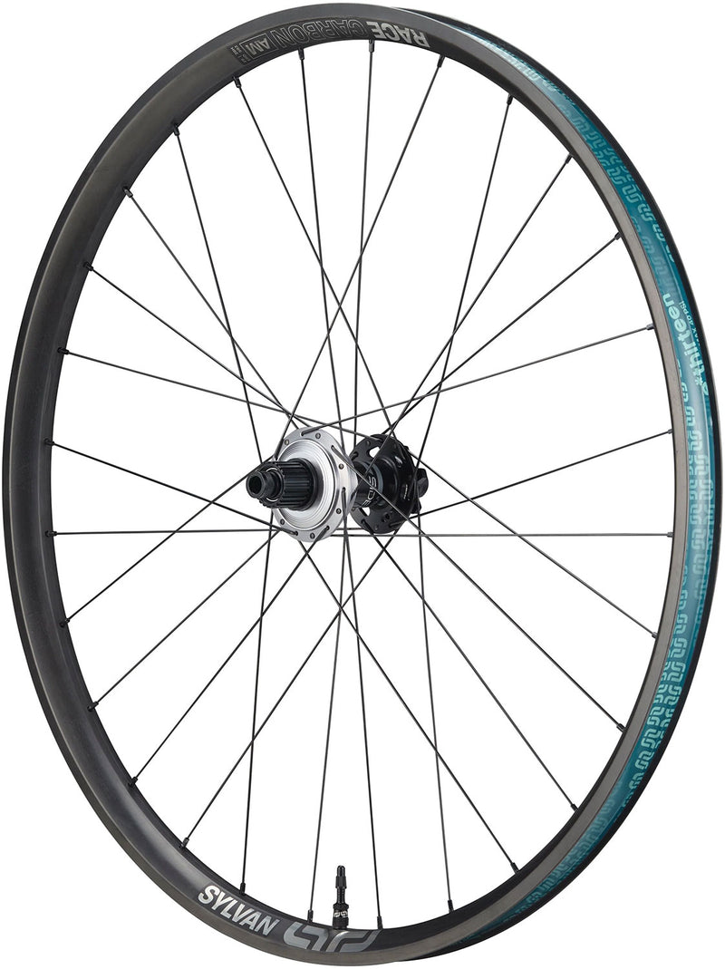 Load image into Gallery viewer, E*thirteen sylvan sidekick race all mountain carbon 12x148mm 29 hinterrad
