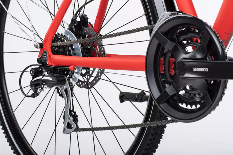 Load image into Gallery viewer, Winora domingo 24 sport 28 inch 52 cm heren 24v rood
