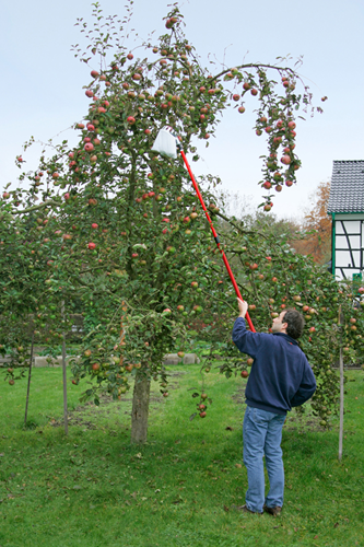 Load image into Gallery viewer, Meister fruitplukker met telesc. steel - wu9890020
