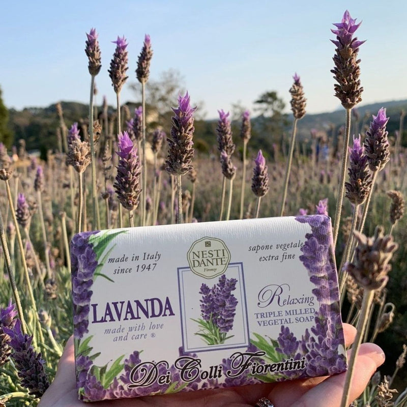 Load image into Gallery viewer, Nesti dante fiorentini lavanda zeep 250gr.
