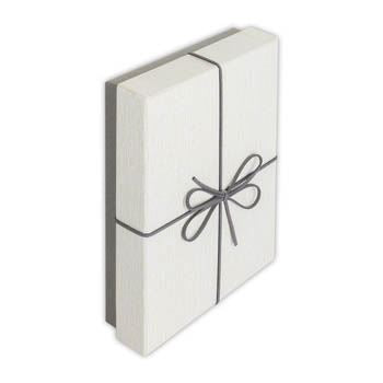 Load image into Gallery viewer, Zep opbergdoos bx3514b box piacenza b 15,3x21,4x4
