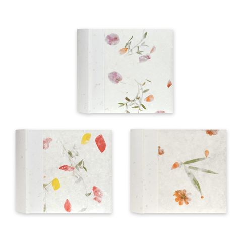 Load image into Gallery viewer, Zep RP46200 Album Slip-in 200 photos 10x15 cm
