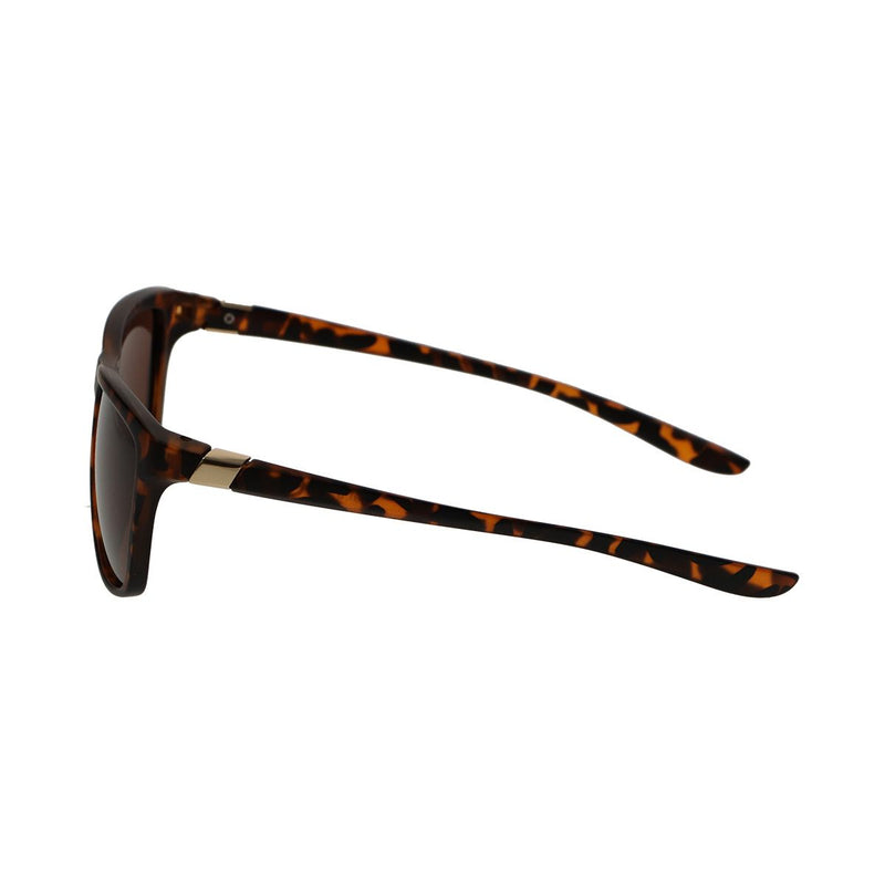 Load image into Gallery viewer, Spectrum polarized zonnebril tortoise smoke dames
