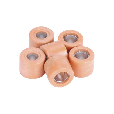 Leovince variateurrolset 19x15,5mm - 5,7gr