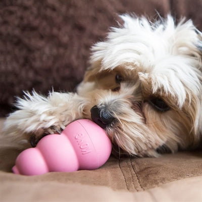 Load image into Gallery viewer, Kong Puppy roze of blauw assorti
