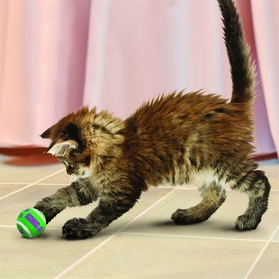 Load image into Gallery viewer, Kong Kat tennisballen met bellen
