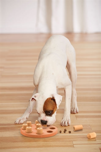 Load image into Gallery viewer, Nina ottosson Dog smart composiet
