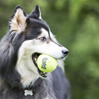 Load image into Gallery viewer, Kong Squeakair tennisbal geel met piep
