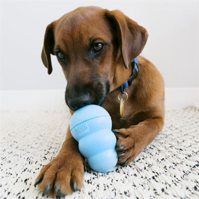 Load image into Gallery viewer, Kong Snacks puppy

