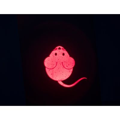 Load image into Gallery viewer, Trixie Laserspeelgoed catch the light muis usb oplaadbaar
