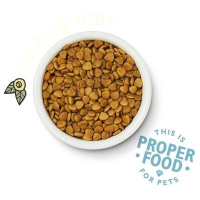 Load image into Gallery viewer, Lily's kitchen Cat fisherman's feast fish
