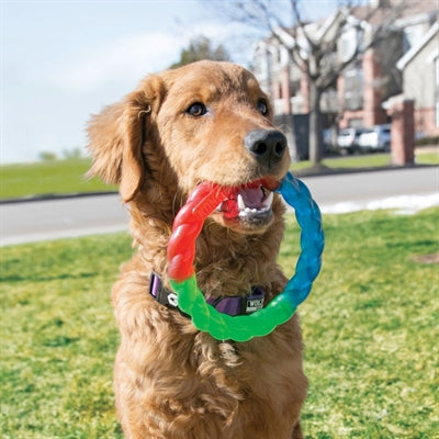 Load image into Gallery viewer, Kong Twistz ring
