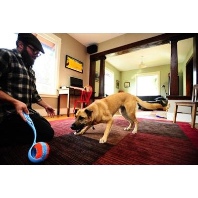 Chuckit Indoor roller