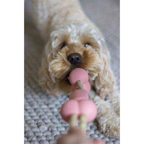 Load image into Gallery viewer, Rosewood Tough twist rubber met touw mint smaak
