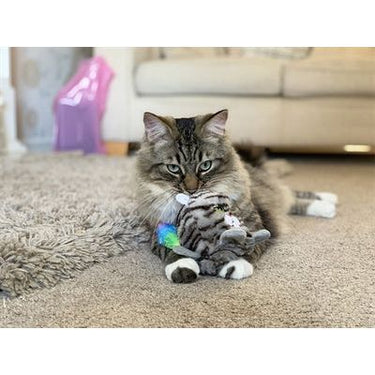Rosewood Moody moggy omkeerbaar grijpspeelgoed