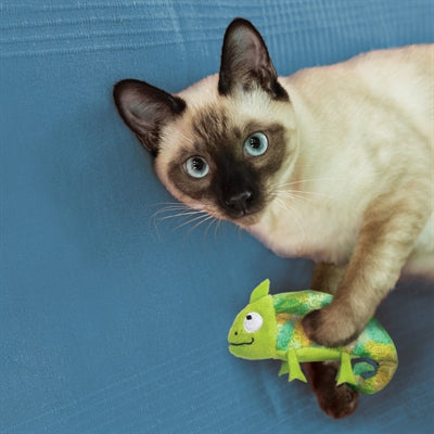 Load image into Gallery viewer, Kong Kameleon met catnip hervulbaar
