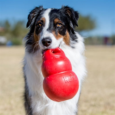 Load image into Gallery viewer, Kong Bounzer rood
