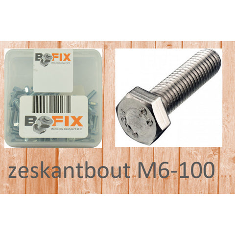 Bofix zeskantbout M6-100 (12st)