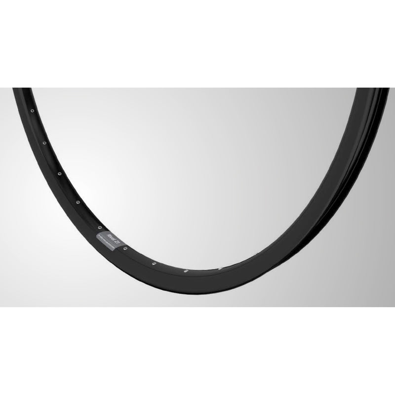 Load image into Gallery viewer, Velg Rival 21 27,5 584 32g 14G disc alu zwart
