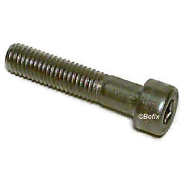 Xtrabike bout inbus m8x55 staal