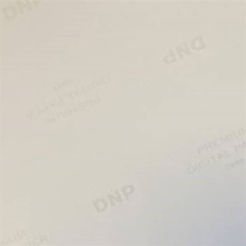 DNP Standaard Papier DSRX1HS-4X6 2 Rol � 700 St. 10x15 voor DS-RX1HS