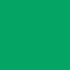 Falcon Eyes Achtergrondpapier 46 Chroma Green 0,57 x 11 m