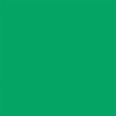 Falcon Eyes Achtergrondpapier 46 Chroma Green 0,57 x 11 m
