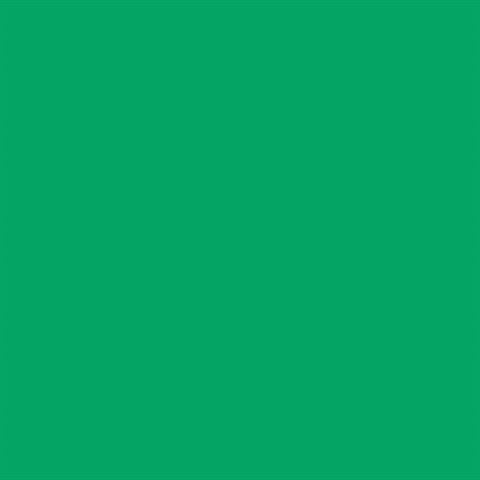 Load image into Gallery viewer, Falcon Eyes Achtergrondpapier 46 Chroma Green 0,57 x 11 m
