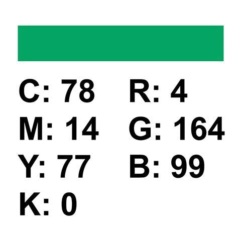 Load image into Gallery viewer, Falcon Eyes Achtergrondpapier 46 Chroma Green 0,57 x 11 m
